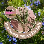 Rosemary water for hair growth